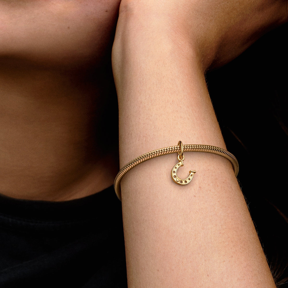 Lucky Horseshoe Dangle Charm
